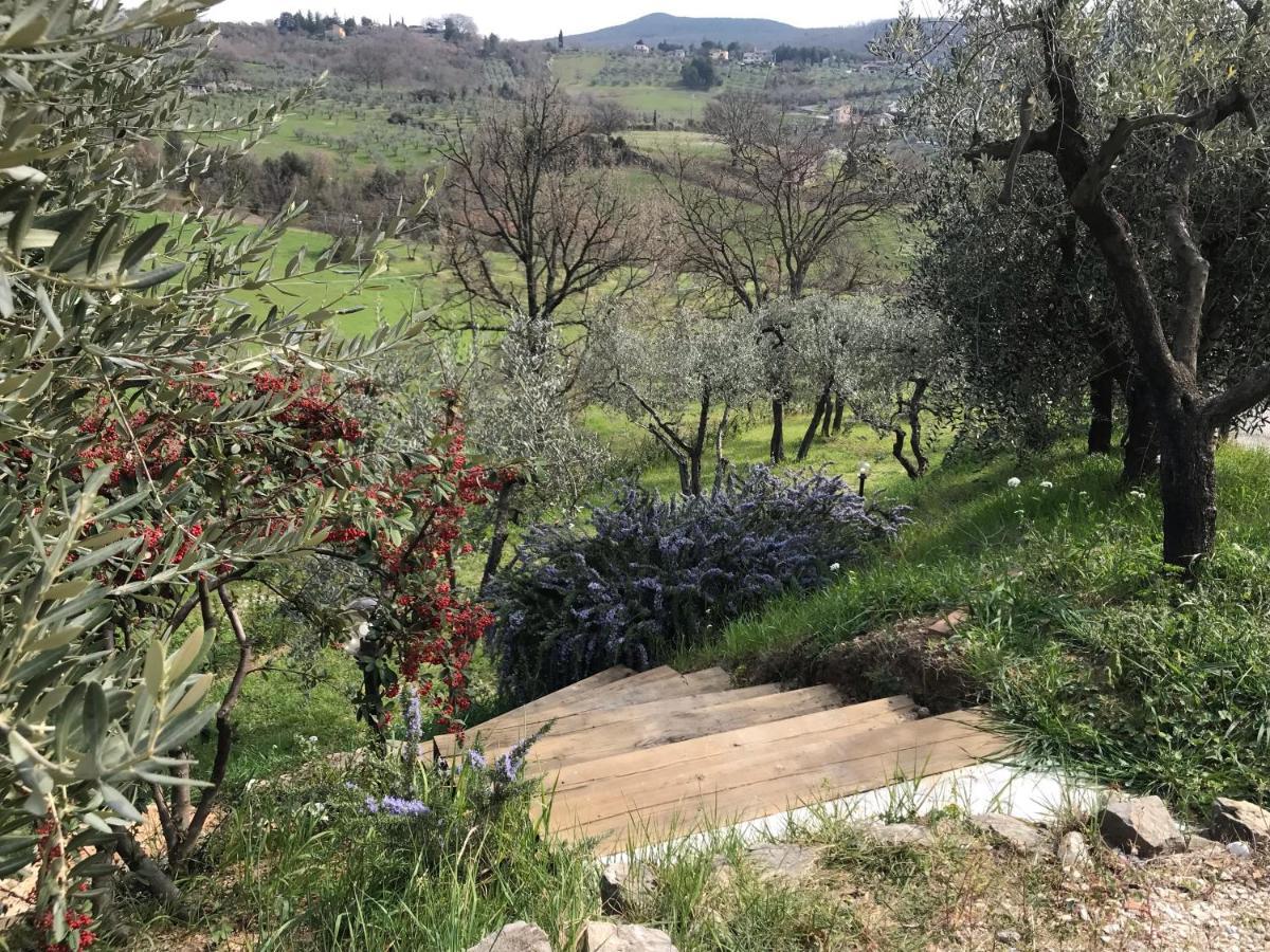 La Casa Di Demetra. Un Paradiso Tra Gli Olivi. Montecchio  Extérieur photo